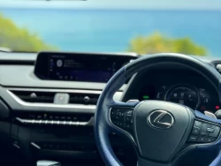 2021 Lexus UX 250h F Sport Hybrid 9 2021 Lexus UX 250h F Sport Hybrid 9